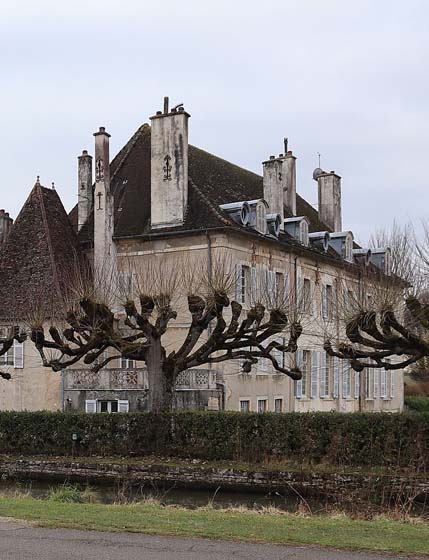 Photo ville Ladoix-serrigny