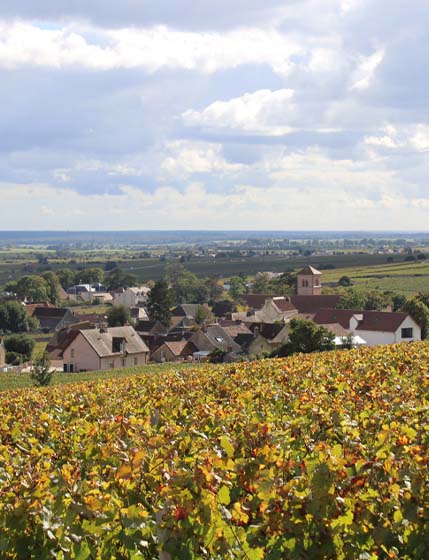 Photo ville Gevrey-Chambertin